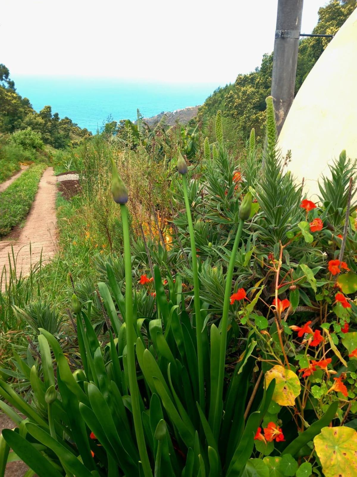 Arambha Ecovillage Farmstay Tabua  Екстериор снимка
