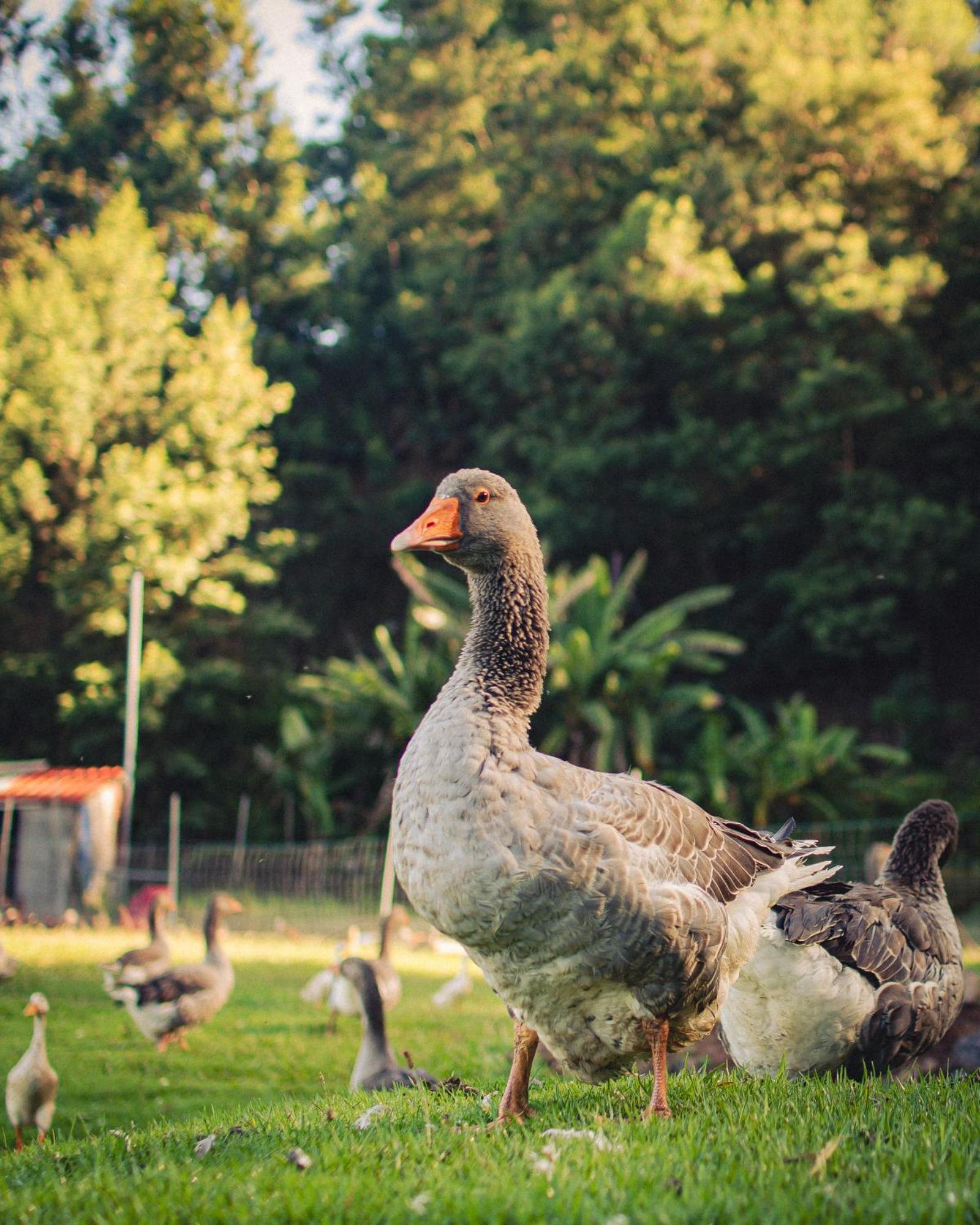 Arambha Ecovillage Farmstay Tabua  Екстериор снимка