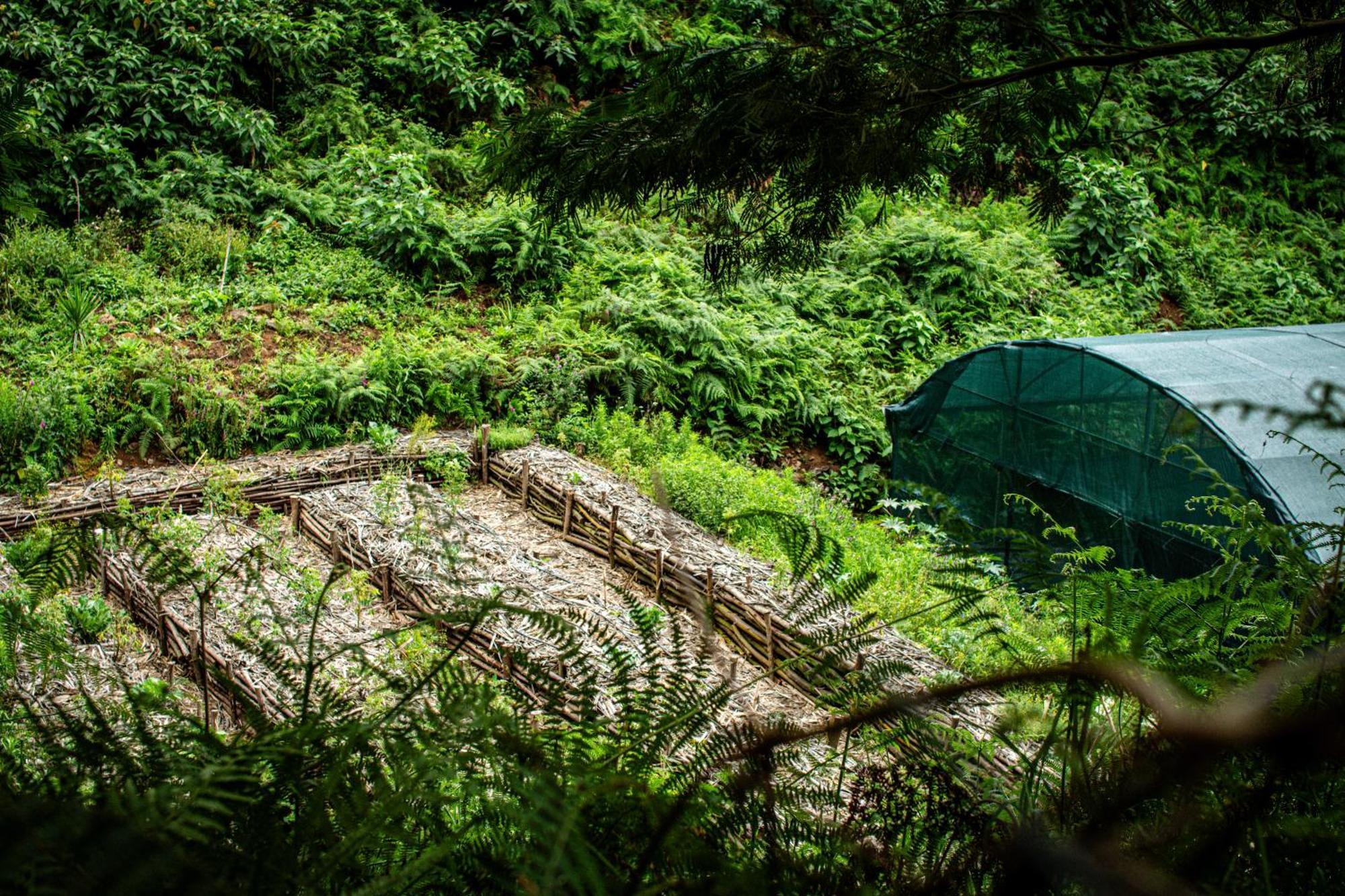 Arambha Ecovillage Farmstay Tabua  Екстериор снимка